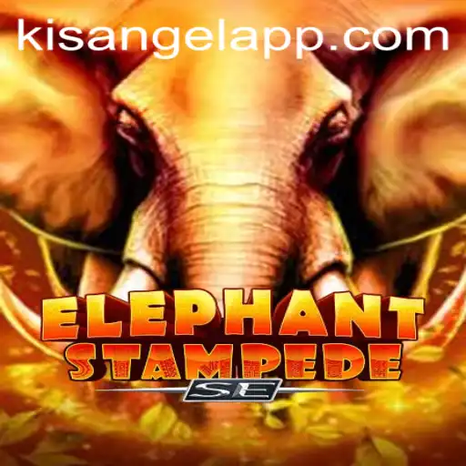 Kisangel Casino App